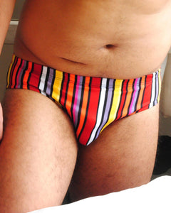 Brief Swimwear Retro Striped